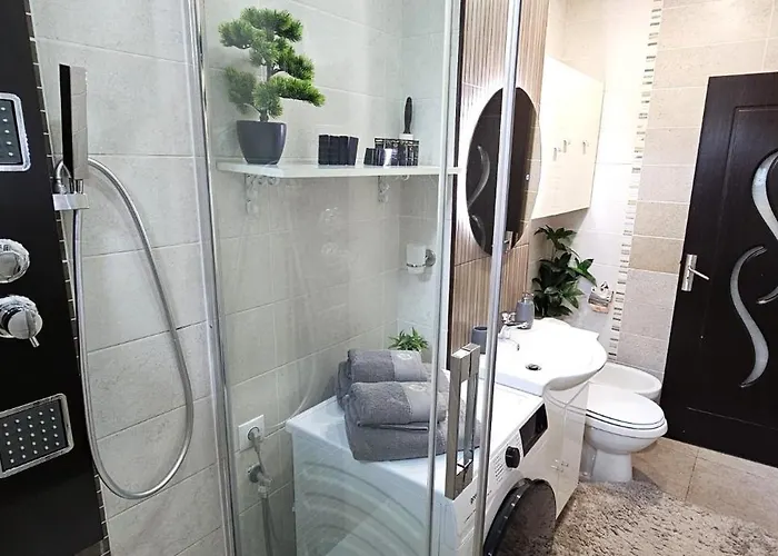 Lejlighed Reva - Civic Center Braşov